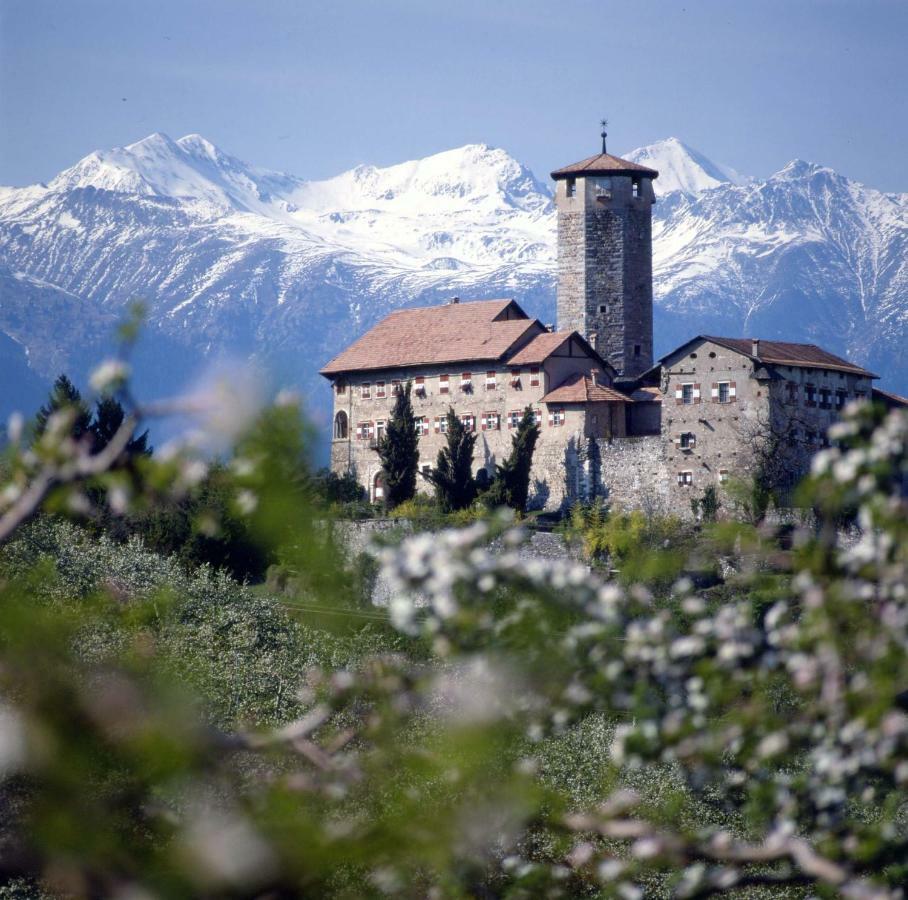Cinzia Dolomiti Del Brenta Leilighet Tassullo Eksteriør bilde